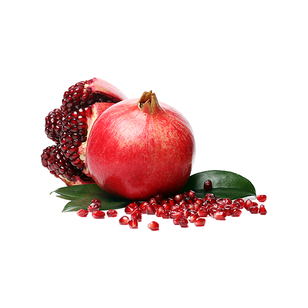aldhrushaglobal.com