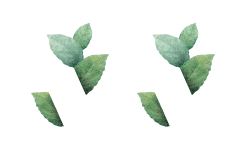 Aldhrusha Global Pvt Ltd.